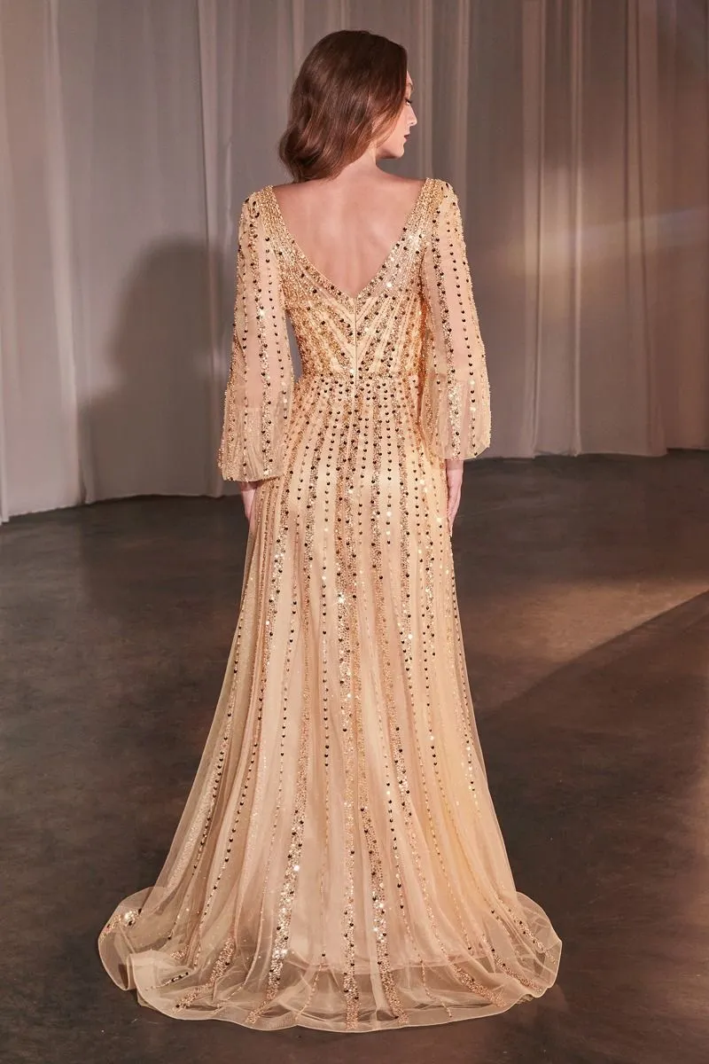 Long Sleeves A-line  Dress La Divine CD0240