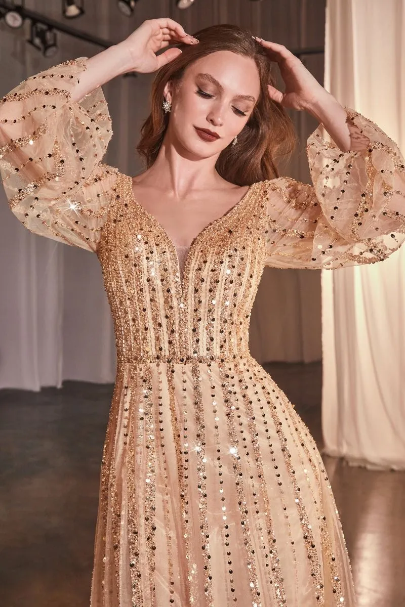 Long Sleeves A-line  Dress La Divine CD0240